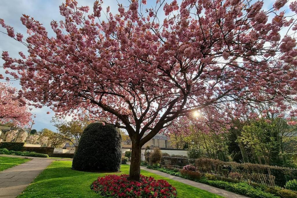 Crystal Cottage - 5 Min Walk From Holmfirth Town Centre エクステリア 写真